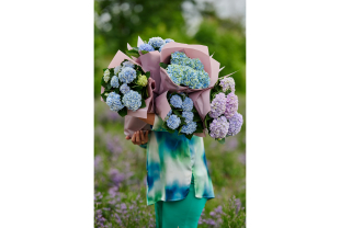 MAGICAL HYDRANGEA - Plantes - Végétaux - Salle de presse - Amsterdam Communication