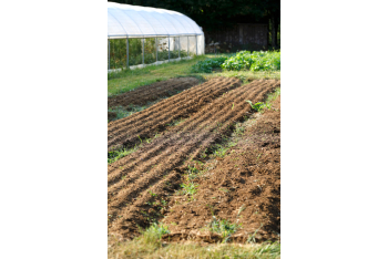 PREMIER TECH - Jardin potager - Salle de presse - Amsterdam Communication